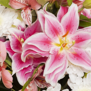 Design in pastel shades