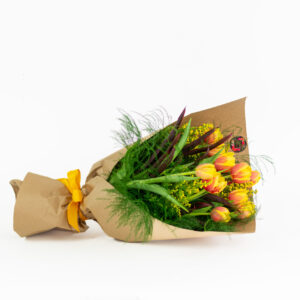 Bouquet of tulips