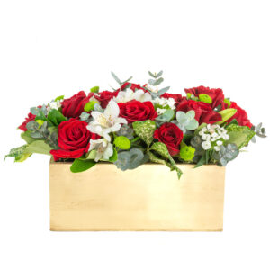 Rosas y destellos
