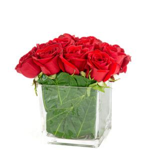 Agrupación de rosas en cubo