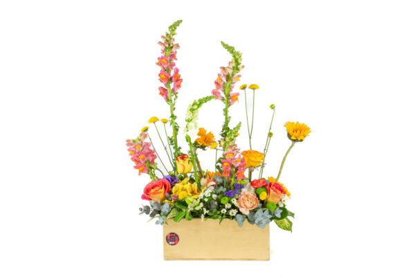 Jardin Arcoiris - Image 3