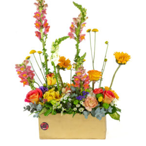 Jardin Arcoiris