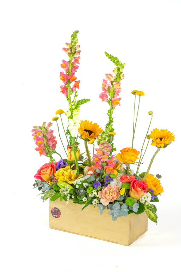 Jardin Arcoiris - Image 2