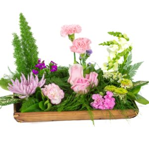Small Garden