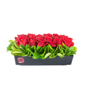 Box with 18 roses