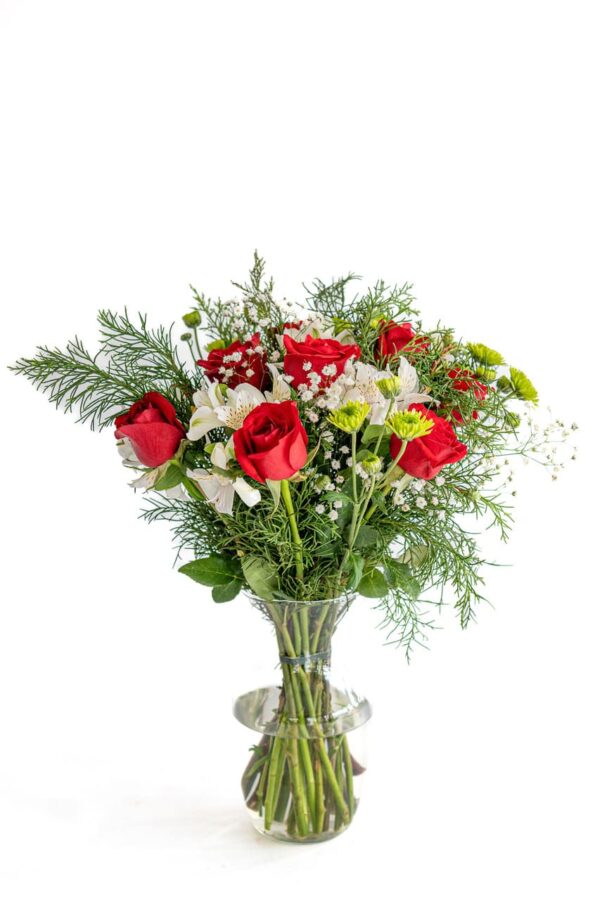 Encanto rojo y blanco - Image 3