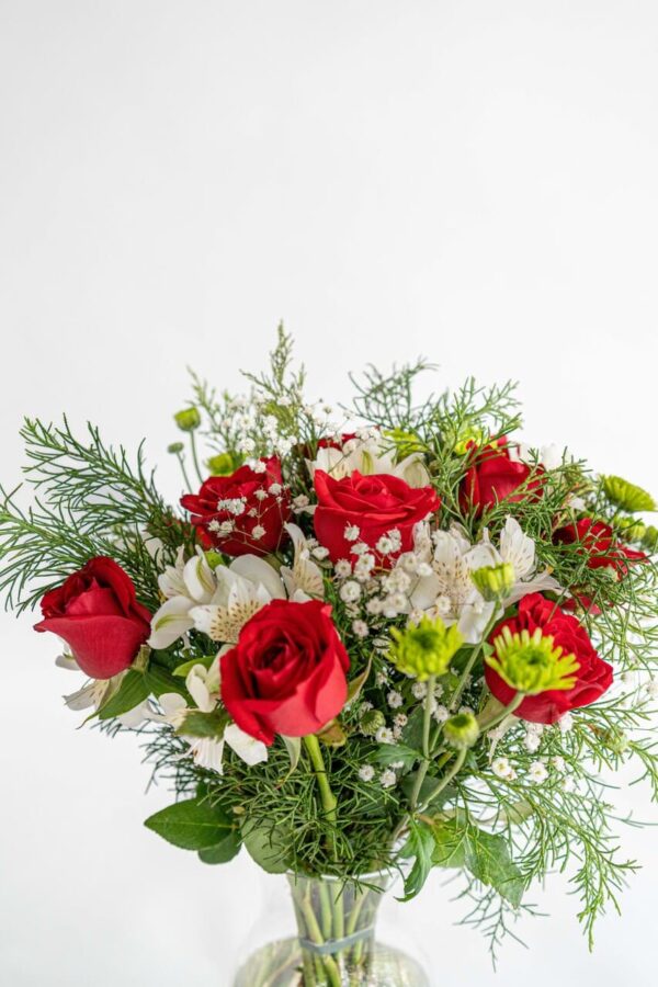 Encanto rojo y blanco - Image 2