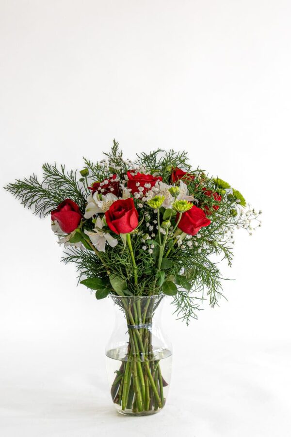 Encanto rojo y blanco