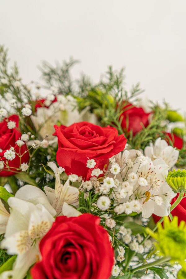 Encanto rojo y blanco - Image 4