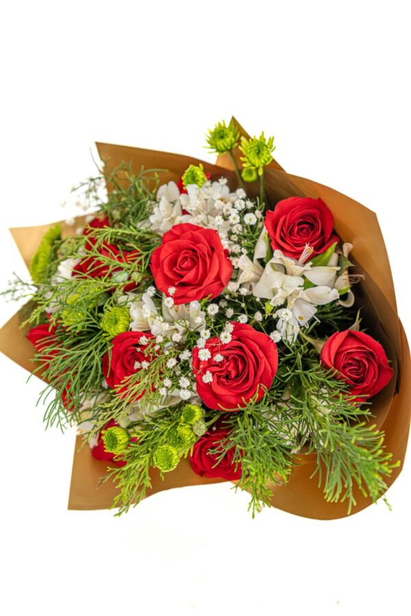 Rosas Navideñas