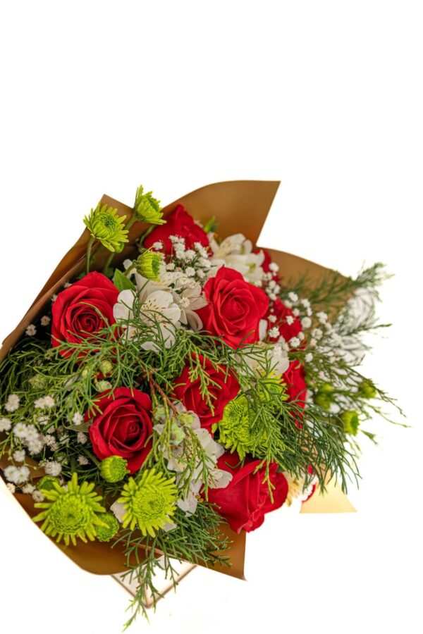 Rosas Navideñas - Image 5
