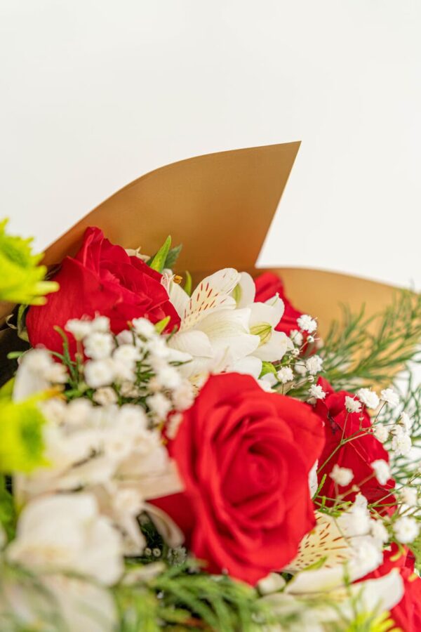 Rosas Navideñas - Image 6
